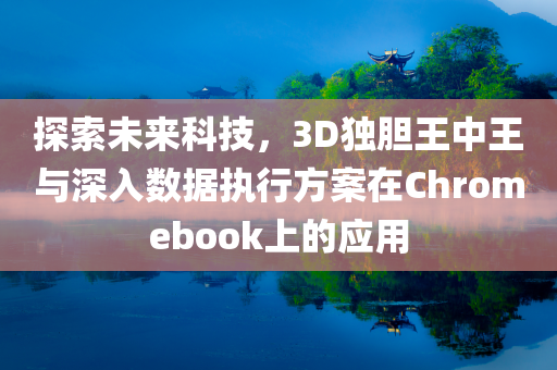 探索未来科技，3D独胆王中王与深入数据执行方案在Chromebook上的应用