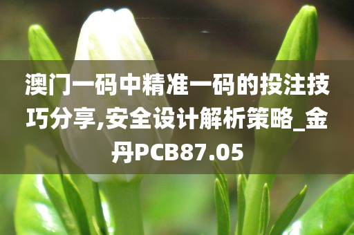 澳门一码中精准一码的投注技巧分享,安全设计解析策略_金丹PCB87.05