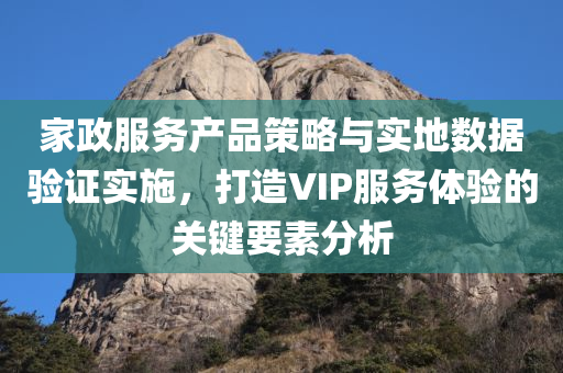 家政服务产品策略与实地数据验证实施，打造VIP服务体验的关键要素分析