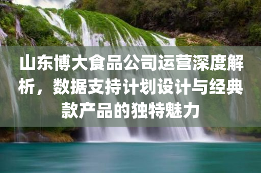 山东博大食品公司运营深度解析，数据支持计划设计与经典款产品的独特魅力