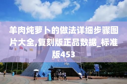 羊肉炖萝卜的做法详细步骤图片大全,复刻版正品数据_标准版453