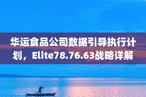 华运食品公司数据引导执行计划，Elite78.76.63战略详解