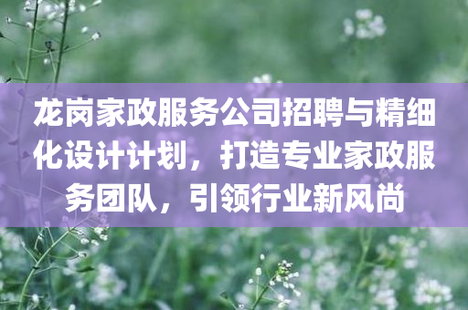 龙岗家政服务公司招聘与精细化设计计划，打造专业家政服务团队，引领行业新风尚