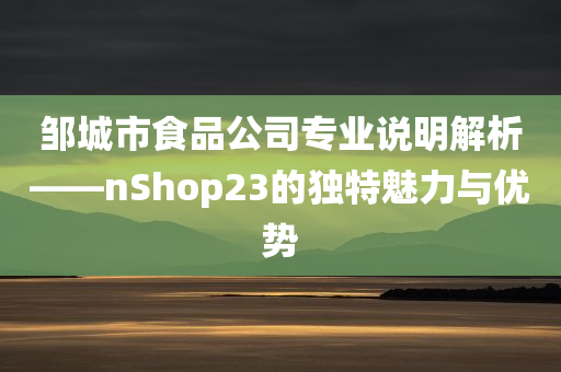 邹城市食品公司专业说明解析——nShop23的独特魅力与优势