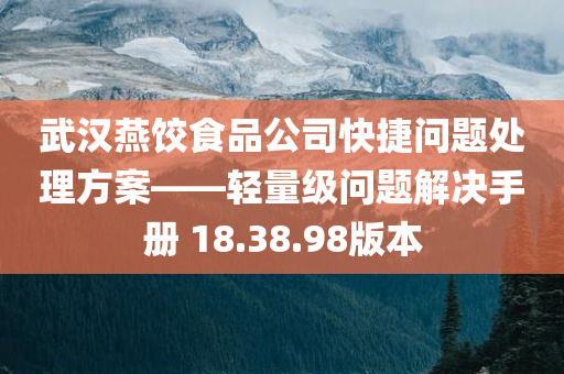 武汉燕饺食品公司快捷问题处理方案——轻量级问题解决手册 18.38.98版本