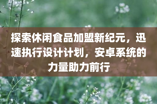 探索休闲食品加盟新纪元，迅速执行设计计划，安卓系统的力量助力前行