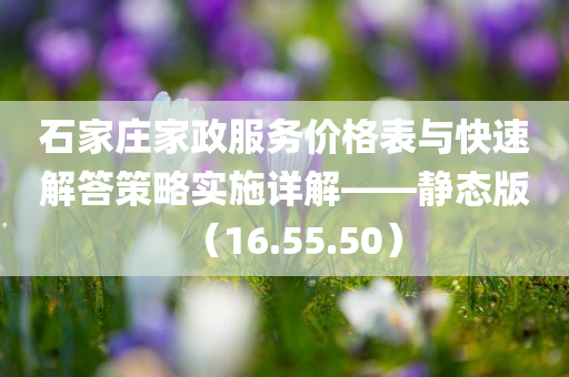 石家庄家政服务价格表与快速解答策略实施详解——静态版（16.55.50）