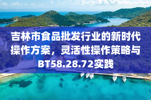 吉林市食品批发行业的新时代操作方案，灵活性操作策略与BT58.28.72实践