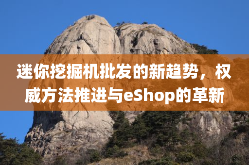 迷你挖掘机批发的新趋势，权威方法推进与eShop的革新