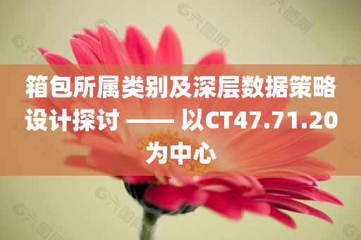 箱包所属类别及深层数据策略设计探讨 —— 以CT47.71.20为中心