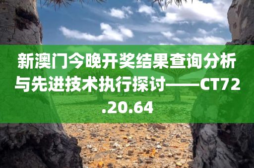 新澳门今晚开奖结果查询分析与先进技术执行探讨——CT72.20.64