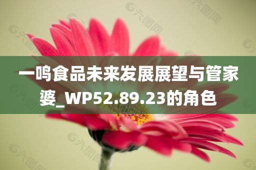 一鸣食品未来发展展望与管家婆_WP52.89.23的角色