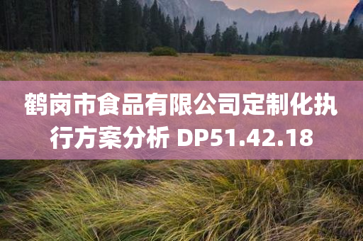 鹤岗市食品有限公司定制化执行方案分析 DP51.42.18