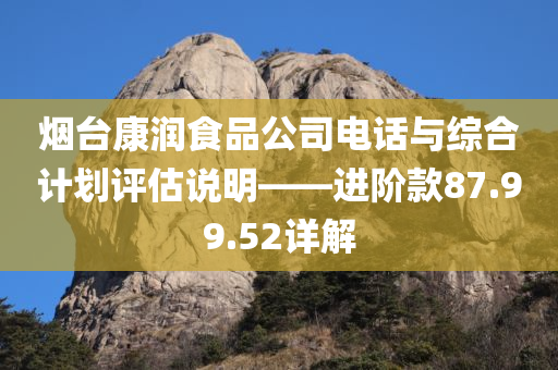 烟台康润食品公司电话与综合计划评估说明——进阶款87.99.52详解