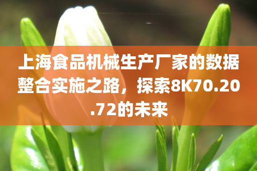 上海食品机械生产厂家的数据整合实施之路，探索8K70.20.72的未来