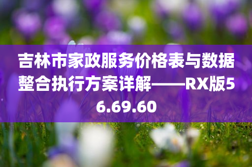 吉林市家政服务价格表与数据整合执行方案详解——RX版56.69.60