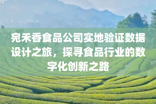 宛禾香食品公司实地验证数据设计之旅，探寻食品行业的数字化创新之路