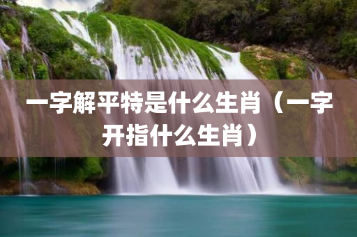 一字解平特是什么生肖（一字开指什么生肖）