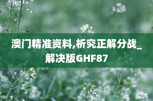 澳门精准资料,析究正解分战_解决版GHF87