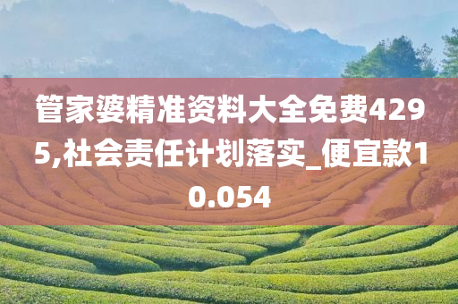 管家婆精准资料大全免费4295,社会责任计划落实_便宜款10.054