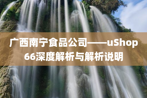 广西南宁食品公司——uShop66深度解析与解析说明