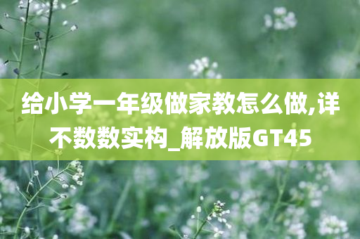 给小学一年级做家教怎么做,详不数数实构_解放版GT45