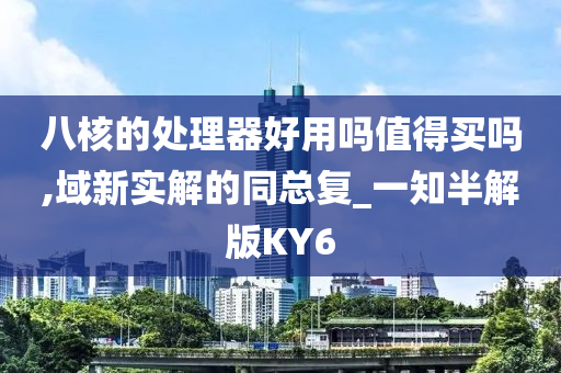 八核的处理器好用吗值得买吗,域新实解的同总复_一知半解版KY6