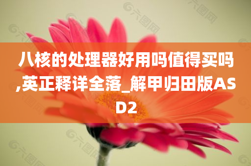 八核的处理器好用吗值得买吗,英正释详全落_解甲归田版ASD2