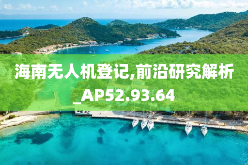 海南无人机登记,前沿研究解析_AP52.93.64