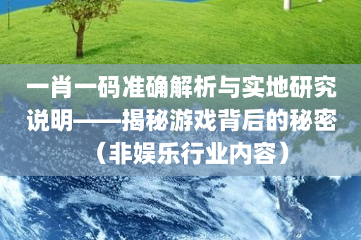 一肖一码准确解析与实地研究说明——揭秘游戏背后的秘密（非娱乐行业内容）