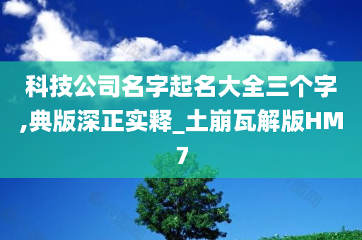 科技公司名字起名大全三个字,典版深正实释_土崩瓦解版HM7