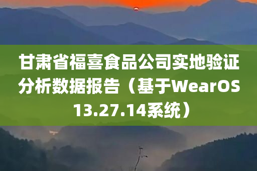 甘肃省福喜食品公司实地验证分析数据报告（基于WearOS 13.27.14系统）