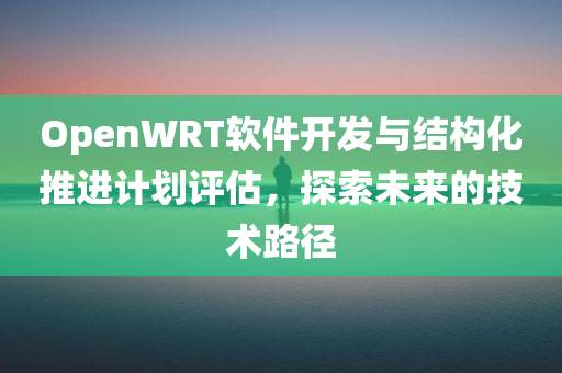 OpenWRT软件开发与结构化推进计划评估，探索未来的技术路径