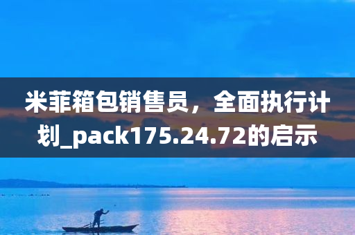 米菲箱包销售员，全面执行计划_pack175.24.72的启示