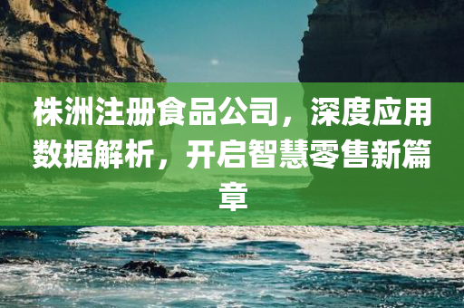 株洲注册食品公司，深度应用数据解析，开启智慧零售新篇章