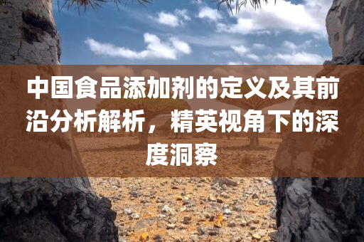 中国食品添加剂的定义及其前沿分析解析，精英视角下的深度洞察