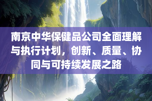 南京中华保健品公司全面理解与执行计划，创新、质量、协同与可持续发展之路