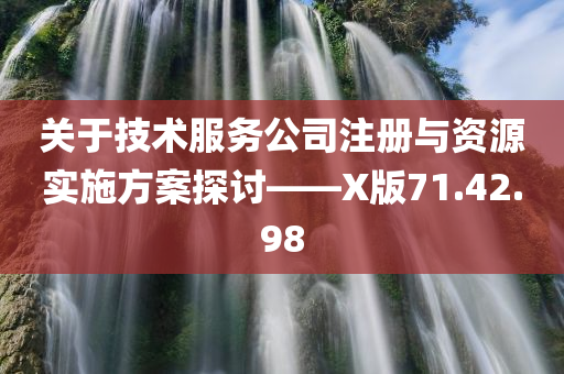 关于技术服务公司注册与资源实施方案探讨——X版71.42.98