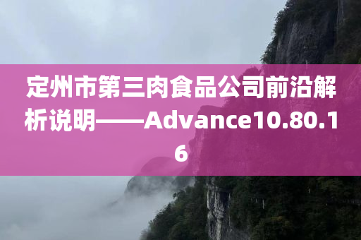 定州市第三肉食品公司前沿解析说明——Advance10.80.16