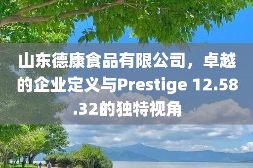 山东德康食品有限公司，卓越的企业定义与Prestige 12.58.32的独特视角