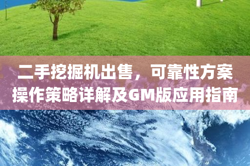 二手挖掘机出售，可靠性方案操作策略详解及GM版应用指南