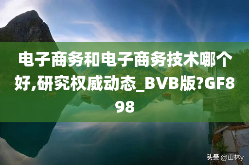 电子商务和电子商务技术哪个好,研究权威动态_BVB版?GF898