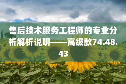 售后技术服务工程师的专业分析解析说明——高级款74.48.43