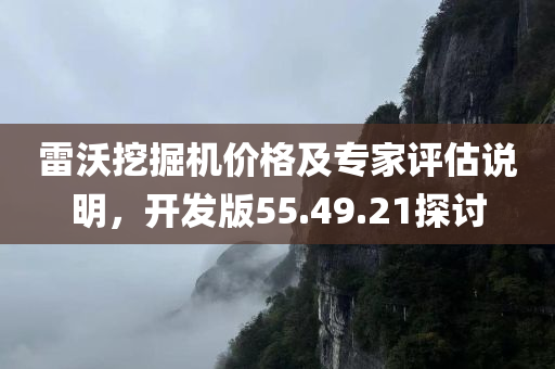 雷沃挖掘机价格及专家评估说明，开发版55.49.21探讨