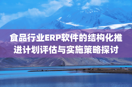 食品行业ERP软件的结构化推进计划评估与实施策略探讨