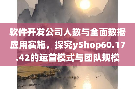 软件开发公司人数与全面数据应用实施，探究yShop60.17.42的运营模式与团队规模