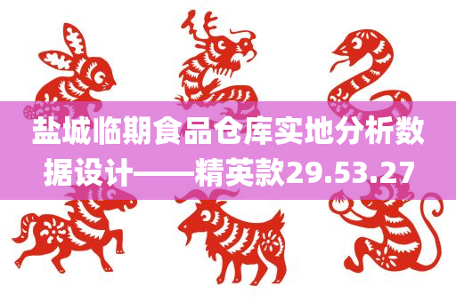 盐城临期食品仓库实地分析数据设计——精英款29.53.27