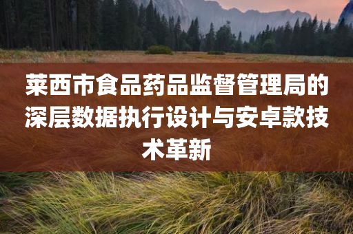 莱西市食品药品监督管理局的深层数据执行设计与安卓款技术革新