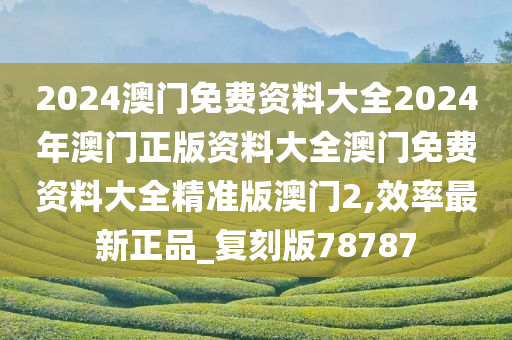 2024澳门免费资料大全2024年澳门正版资料大全澳门免费资料大全精准版澳门2,效率最新正品_复刻版78787