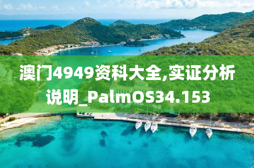 澳门4949资科大全,实证分析说明_PalmOS34.153